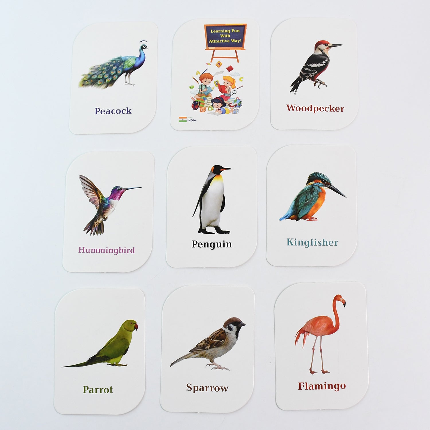 Kidkraft Early Learner Educational Flashcards  32 Birds