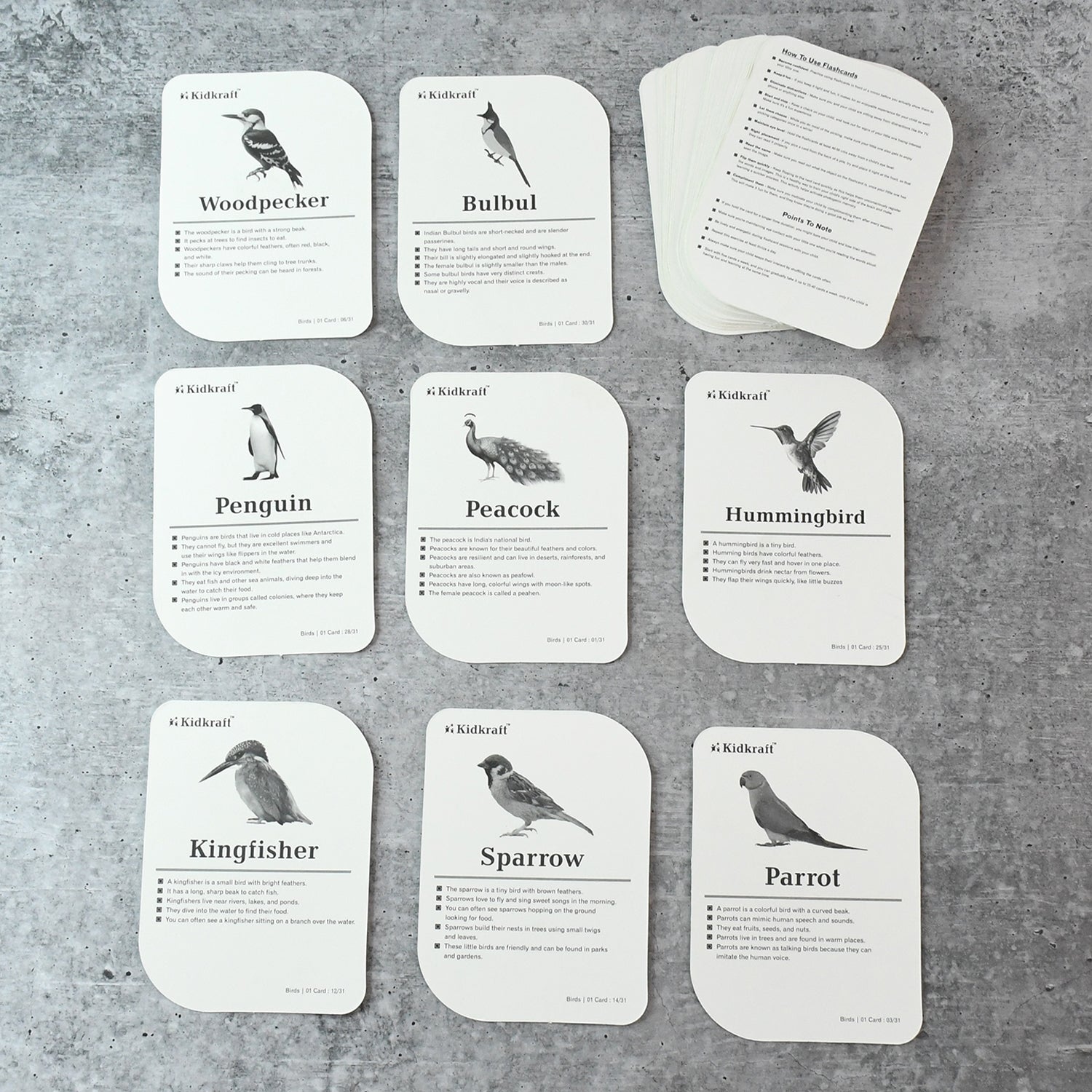 Kidkraft Early Learner Educational Flashcards  32 Birds