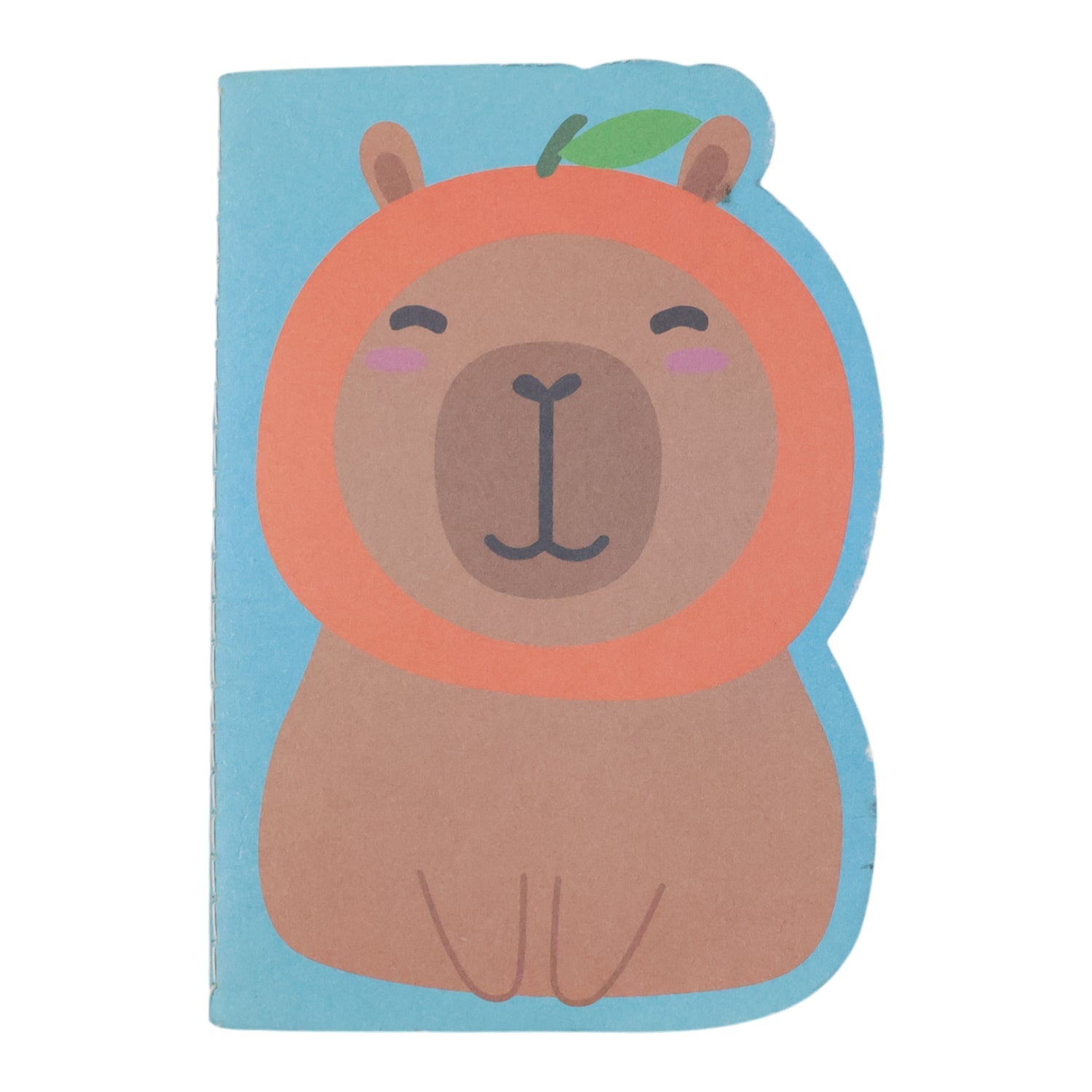Diary