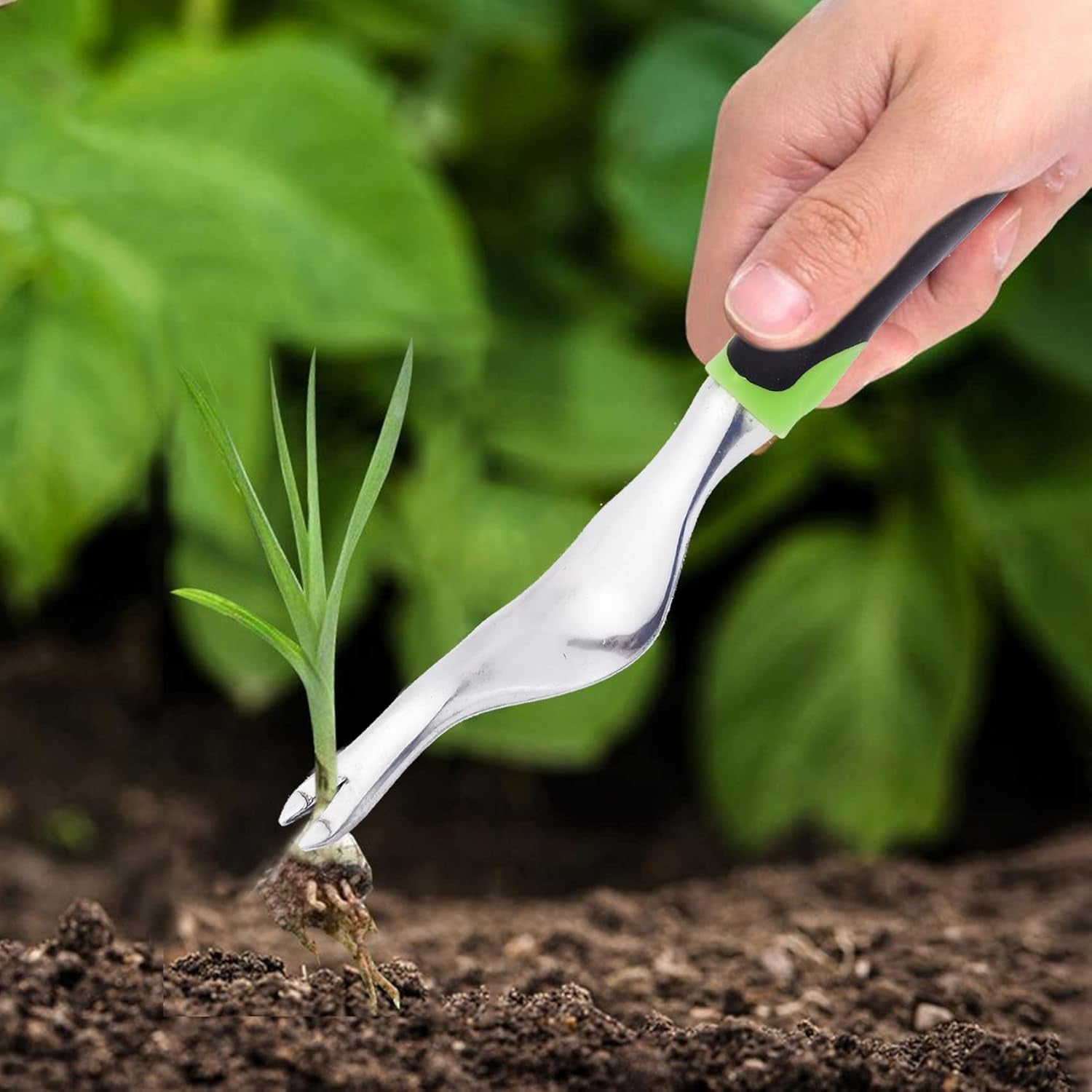 Stainless steel weed removal tool for gardens and flower beds